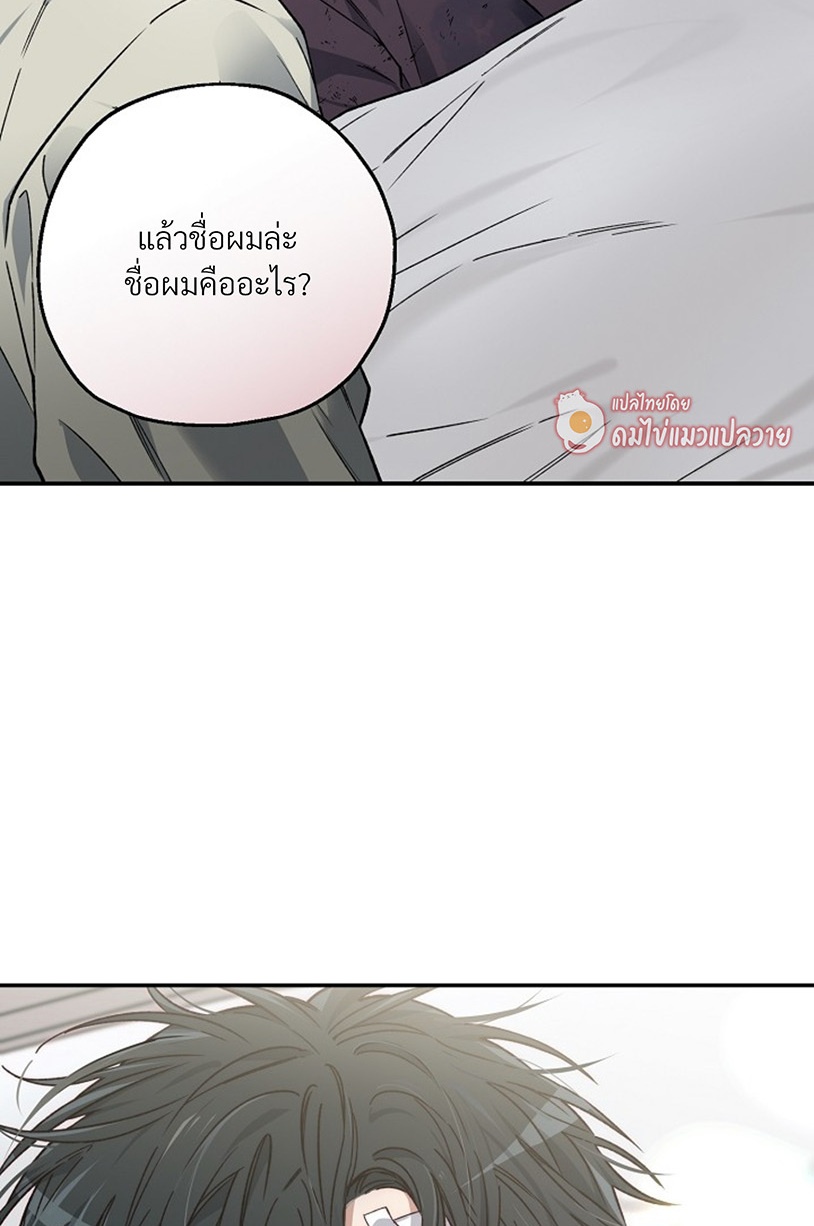 หน้า 113